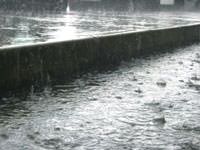 Heavy rains in a downpour in Reinfeld.