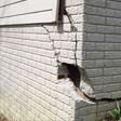 foundation walls cracked due to settlement in Winnipeg