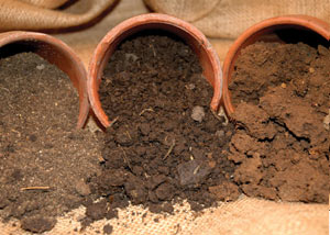 clay oils, loam soils, and sandy soils