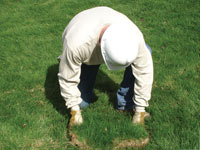 Restoring the landscaping by replacing removed lawn sections for a Steinbach home.