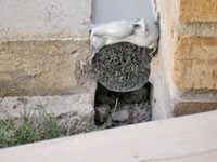 The expansion joint created during street creep repair.